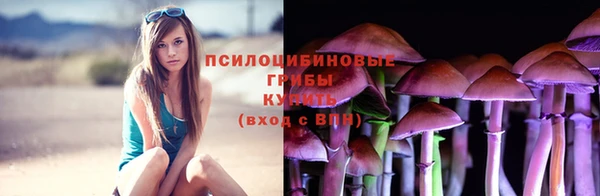 СК Алексеевка
