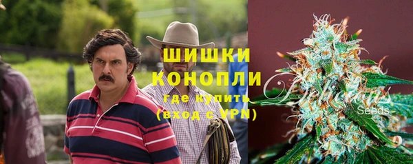 твердый Алексин