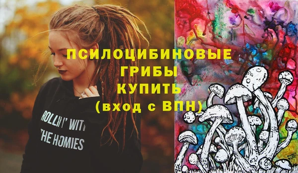 твердый Алексин