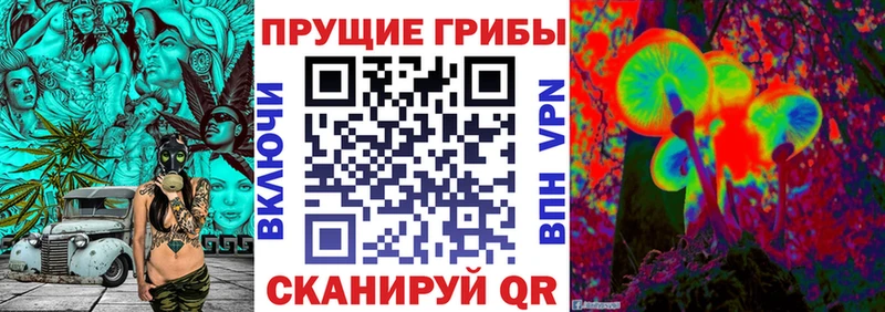 закладки Елабуга Псилоцибиновые грибы ЛСД